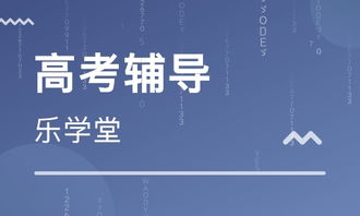 天津乐学堂教育信息咨询有 大众网推荐品牌